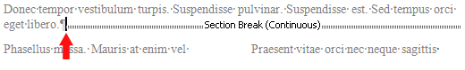 sections break that begins the section