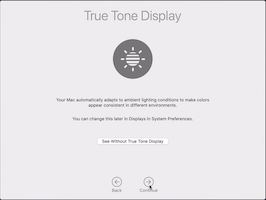 true tone display